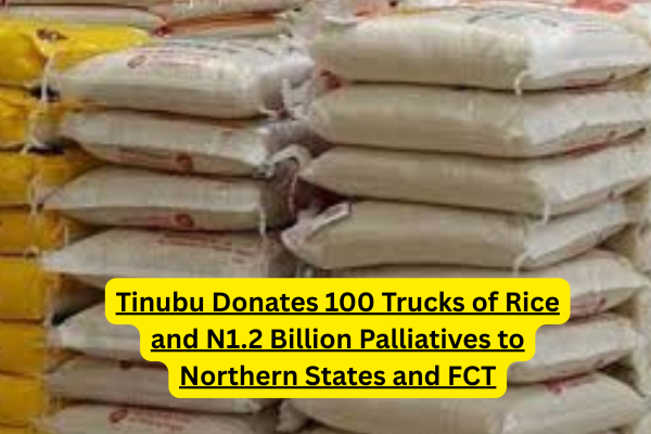 Relief items including rice bags for Tinubu's N1.2 billion palliatives distribution to vulnerable households in northern states