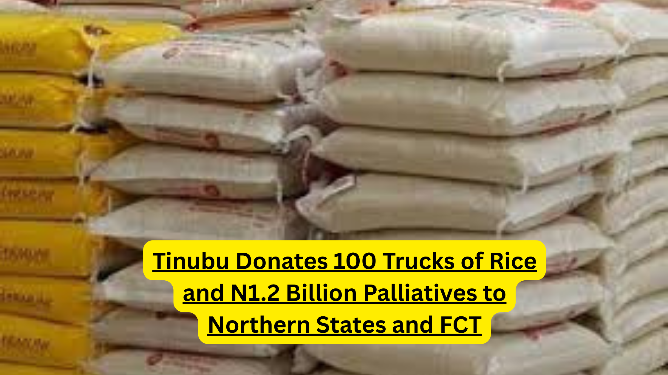Relief items including rice bags for Tinubu's N1.2 billion palliatives distribution to vulnerable households in northern states