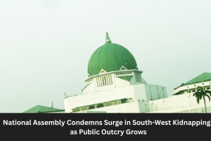 The National Assembly building in Abuja where lawmakers condemned the escalating kidnapping crisis in Nigeria's South-West geopolitical zone